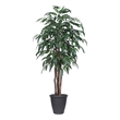 Vickerman 6' Artificial Mango Executive Tree. Gray Round Plastic Container.