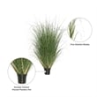 Vickerman 60