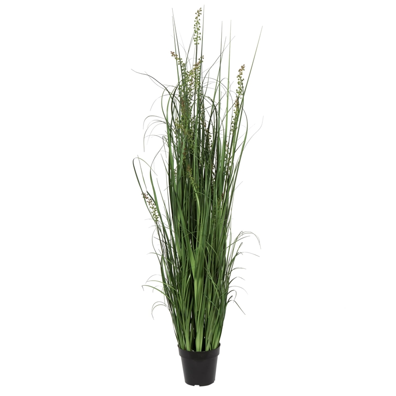 Vickerman 60