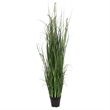 Vickerman 60