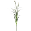 Vickerman 60