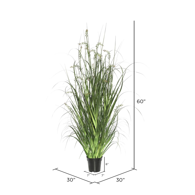 Vickerman 60