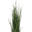 Vickerman 60