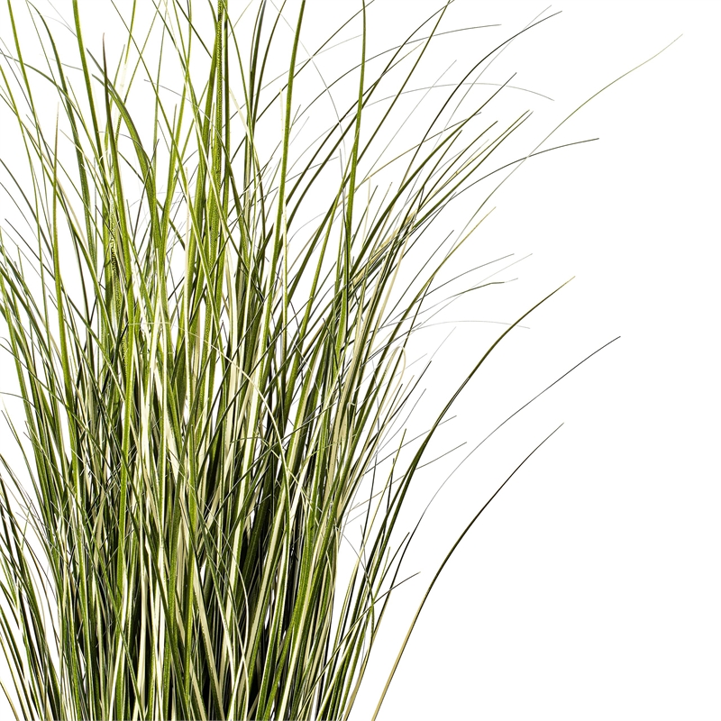 Vickerman 37