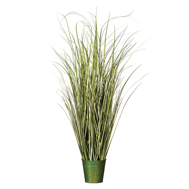 Vickerman 37