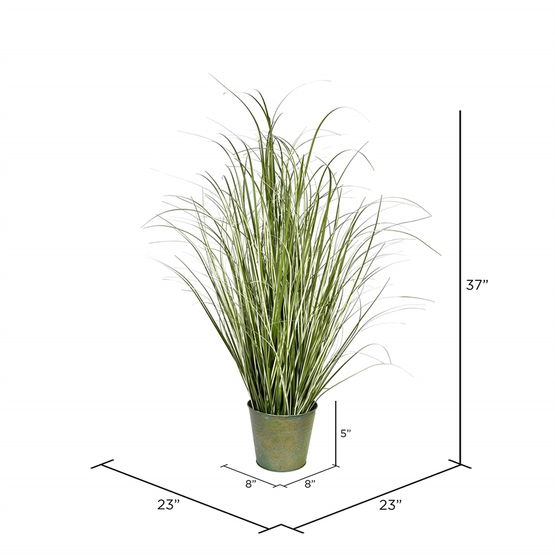 Vickerman 37