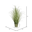 Vickerman 37