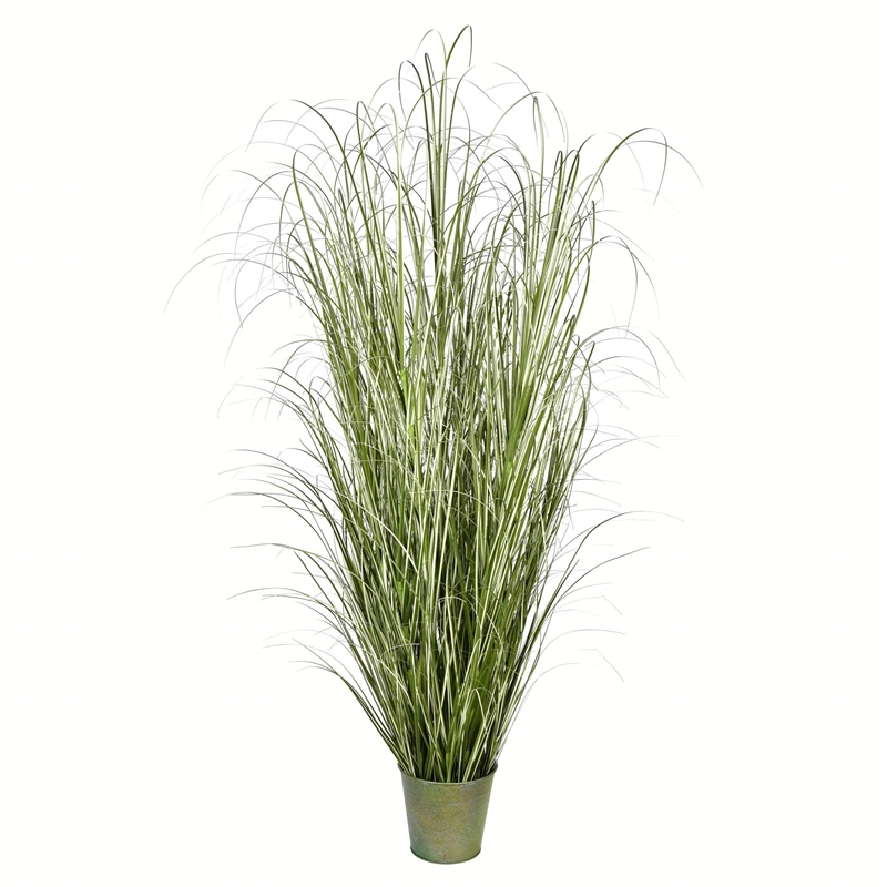 Vickerman 72