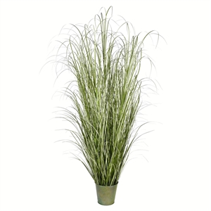 Vickerman 72&quot Artificial Potted Native Green Grass.