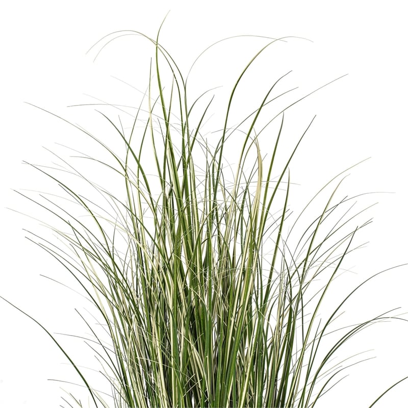 Vickerman 72
