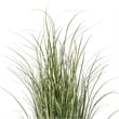 Vickerman 72