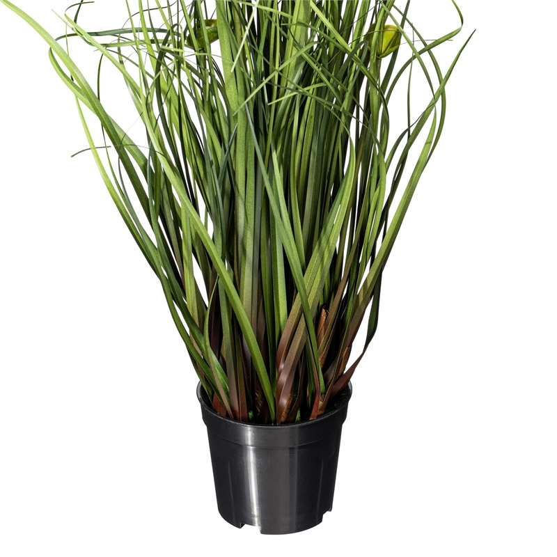 Vickerman 24