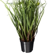 Vickerman 24
