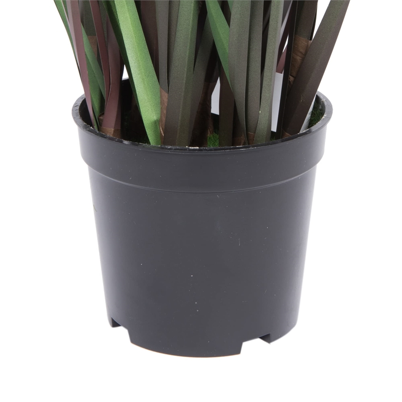 Vickerman 24