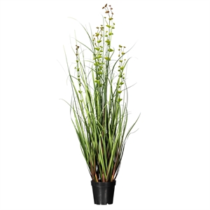 Vickerman 36&quot Artificial Potted Green Grass and Eucalyptus.