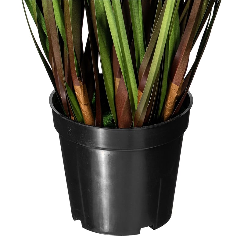 Vickerman 36