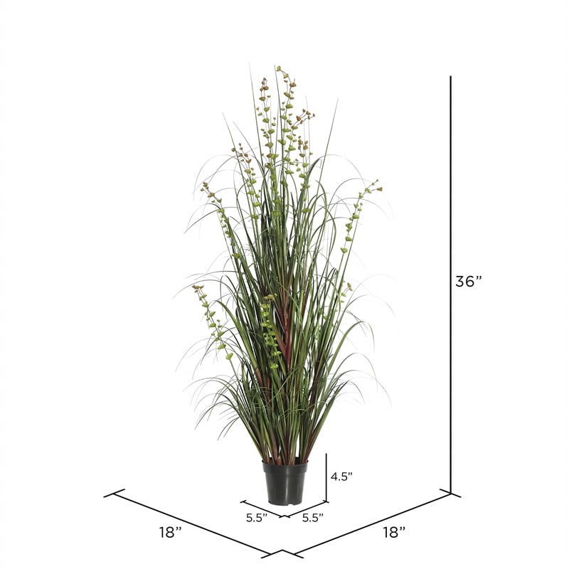 Vickerman 36