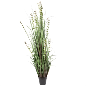 Vickerman 60&quot Artificial Potted Green Grass and Eucalyptus.