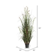Vickerman 60