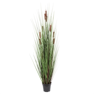 Vickerman 60&quot Artificial Potted Green Straight Grass and Cattails.