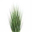 Vickerman 60
