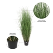Vickerman 48