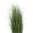Vickerman 48