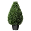Vickerman 36