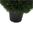 Vickerman 36