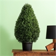 Vickerman 36