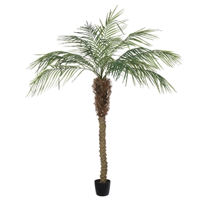 Vickerman 6' Artificial Green Potted Pheonix Palm Tree.