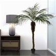 Vickerman 6' Artificial Green Potted Pheonix Palm Tree.