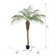 Vickerman 6' Artificial Green Potted Pheonix Palm Tree.