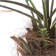 Vickerman 7' Artificial Potted Phoenix Palm Tree.
