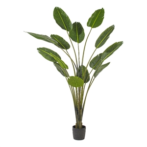 Vickerman 7' Artificial Potted Travellers Palm Tree.