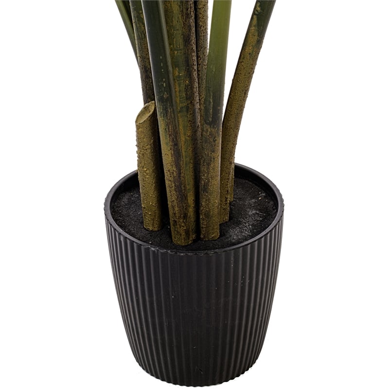 Vickerman 5' Artificial Potted Travellers Palm Tree