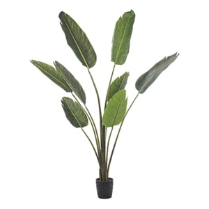 Vickerman 5' Artificial Potted Travellers Palm Tree