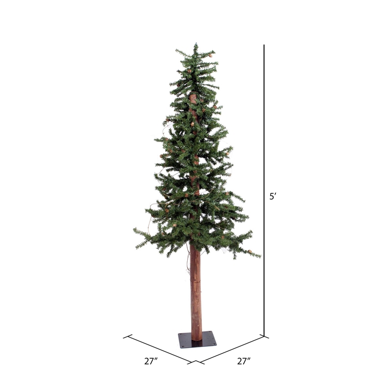 Vickerman 5' x 27