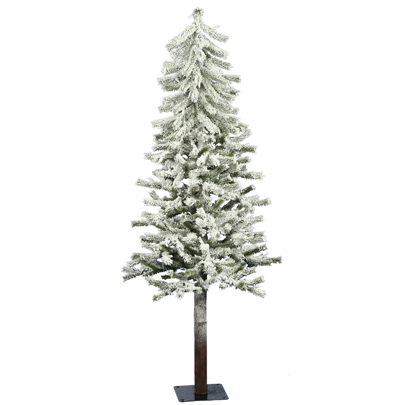 Vickerman 5' x 27