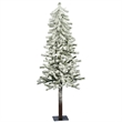 Vickerman 5' x 27
