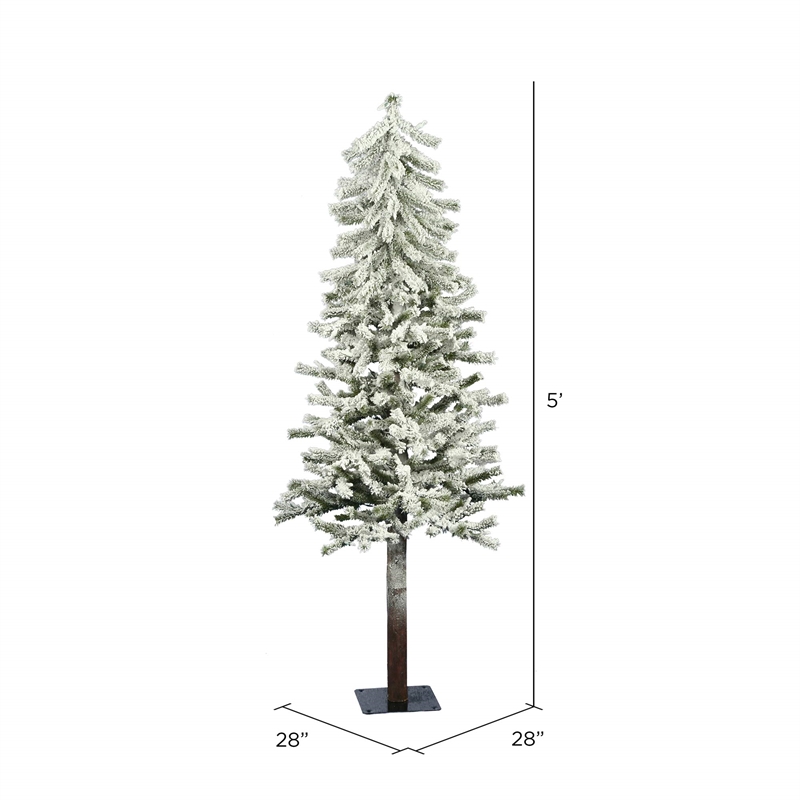 Vickerman 5' x 27