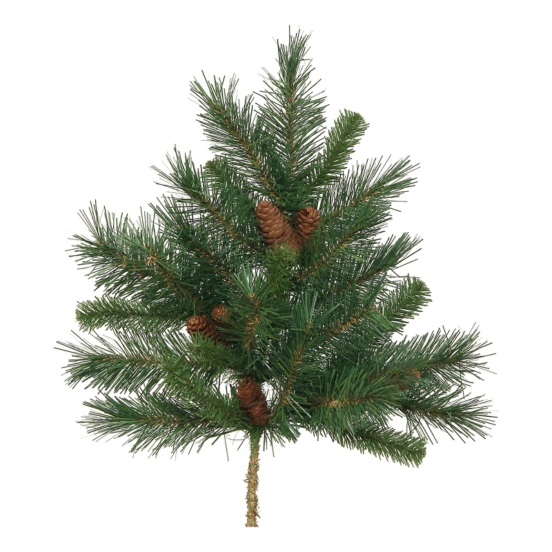 Vickerman 21