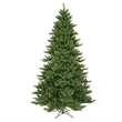 Vickerman 5.5' x 43