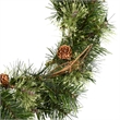 Vickerman 24