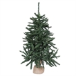 Vickerman 36