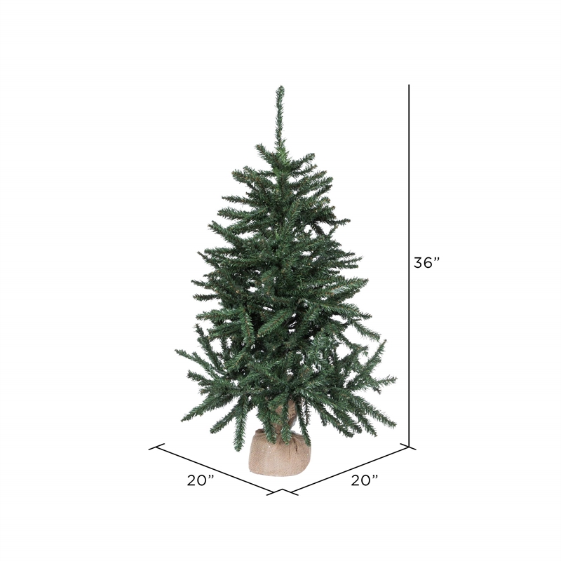 Vickerman 36