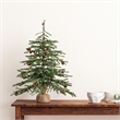 Vickerman 24