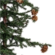 Vickerman 36