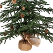 Vickerman 36
