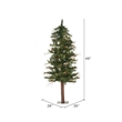 Vickerman 4' x 26